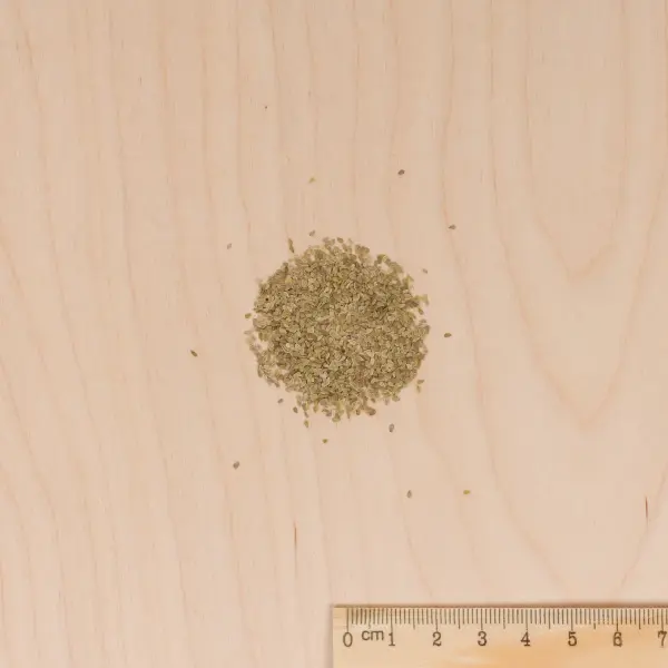 Fleurs - Pâquerette Tapis Varié - MEDIA_3D